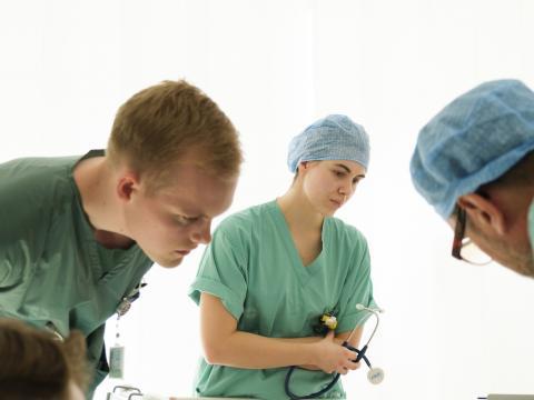 Yfir 400 þreyta inntökupróf við Læknadeild og Tannlæknadeild